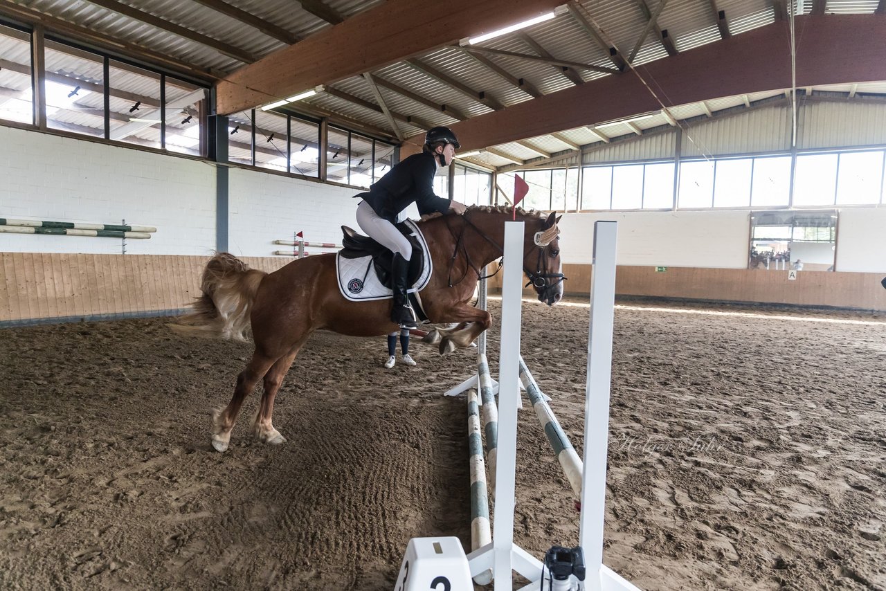 Bild 8 - Pony Akademie Turnier